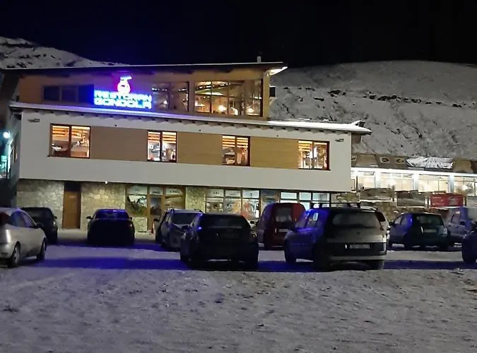 Sara - Centar Ravna Planina 帕莱