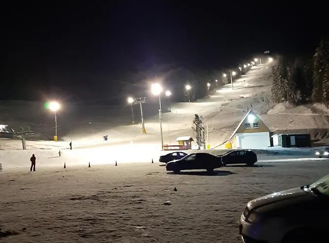 公寓 Sara - Centar Ravna Planina 帕莱